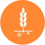 Crop Protection Icon