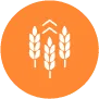 BioSolutions Icon